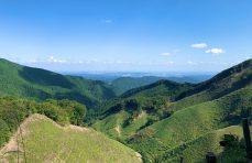 Mt. Takamizu-Sanzan Trail: A Day Trip Hiking Course in Okutama