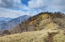 屋外なのに無音。静けさを味わう丹沢山